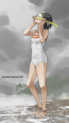 ponta39a.jpg